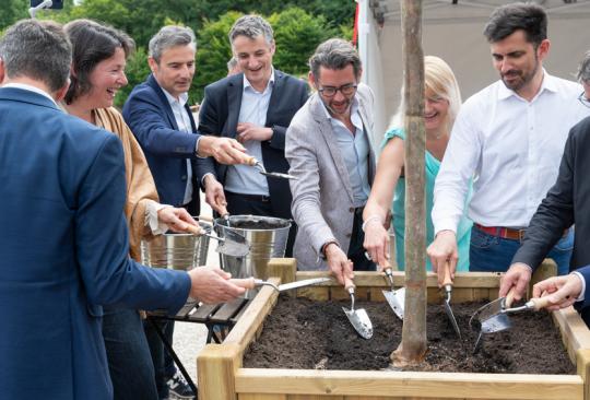 plantation arbre Champniers